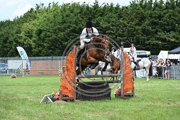 Festival of Hounds 2024