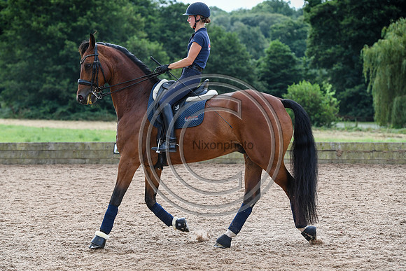 Collective Equestrian