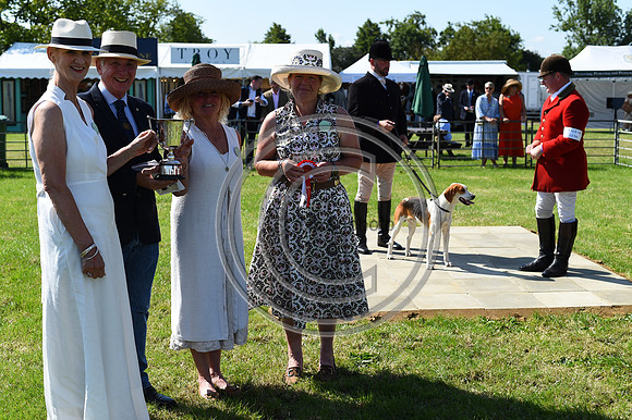 Festival of Hounds 2024