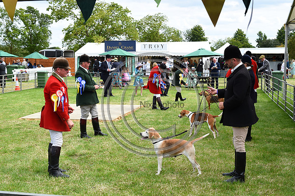 Festival of Hounds 2024
