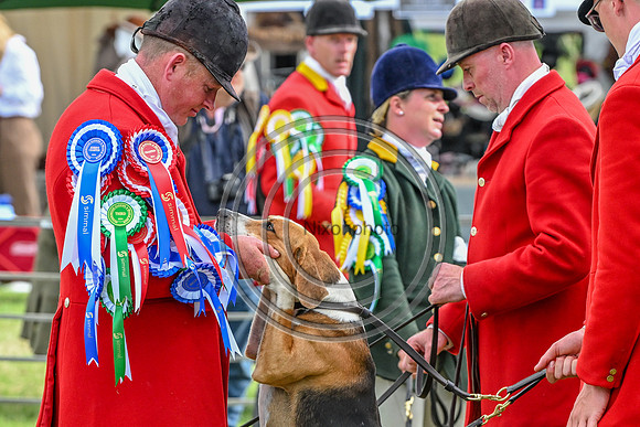Festival of Hounds 2024