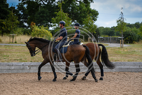 Collective Equestrian