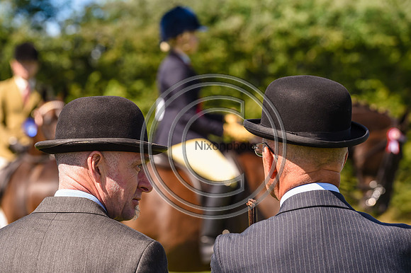 Inter_ShowRegSGS15pn_28652