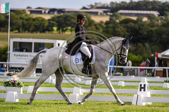 HorseNo742_Burgham_20PN_81521