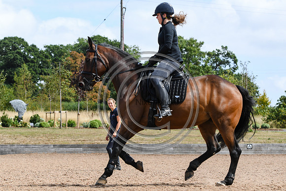 Collective Equestrian