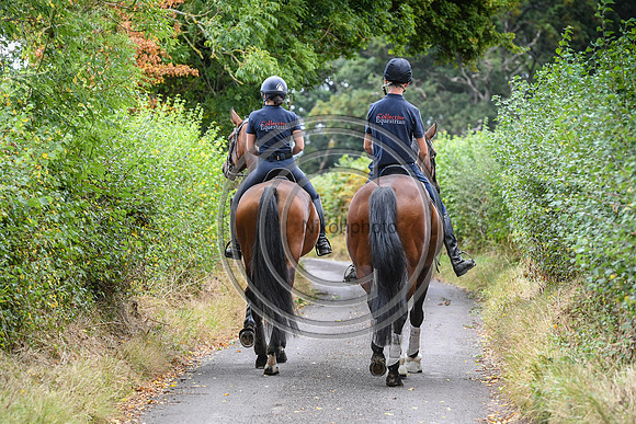 Collective Equestrian