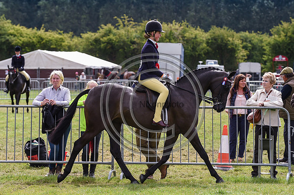 HorseNo739_Bakewell15pn_31421