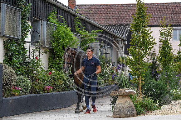 Collective Equestrian