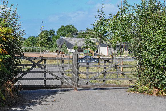 Collective Equestrian