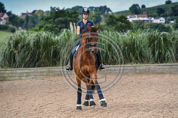 Collective Equestrian