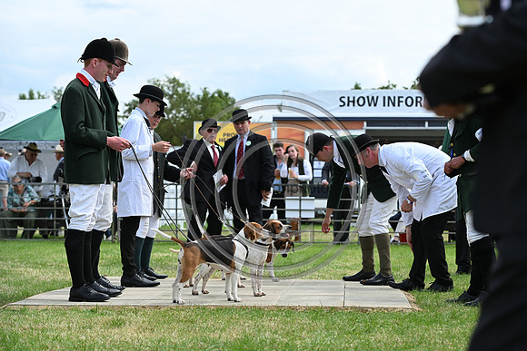 Festival of Hounds 2024