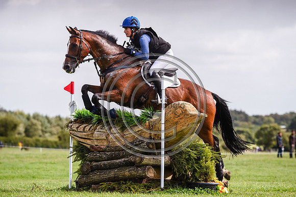 HorseNo753_Burgham_20PN_90511