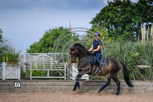 Collective Equestrian