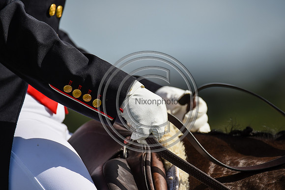 HorseNo_Burgham_20PN_80834