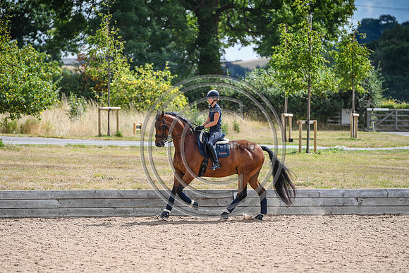 Collective Equestrian