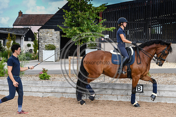 Collective Equestrian