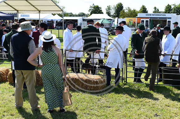Festival of Hounds 2024
