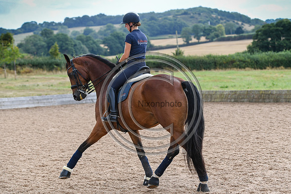 Collective Equestrian