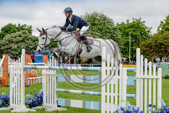 CaritiarZ_SuffolkShow14pn_4624