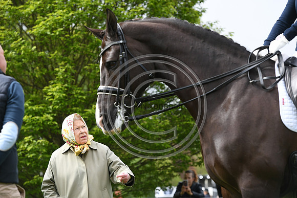 Valegro_RWHS_PN19_13016