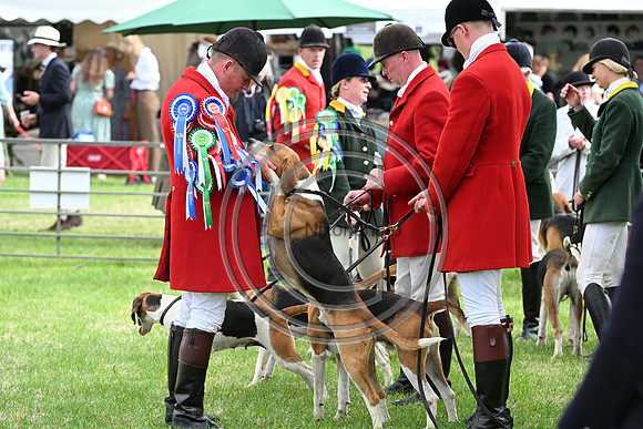 Festival of Hounds 2024