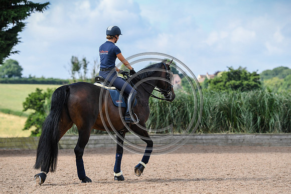Collective Equestrian