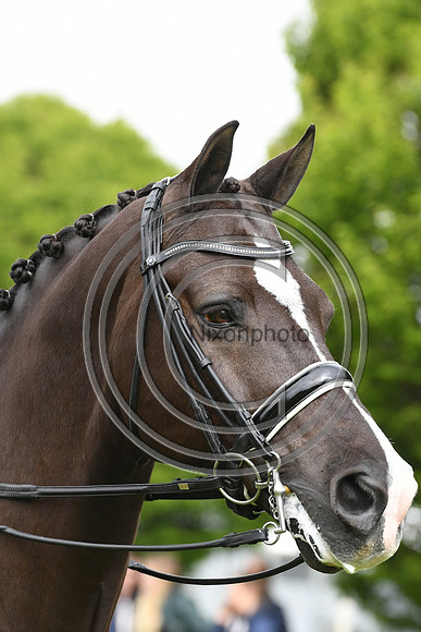 Valegro_RWHS_PN19_12887