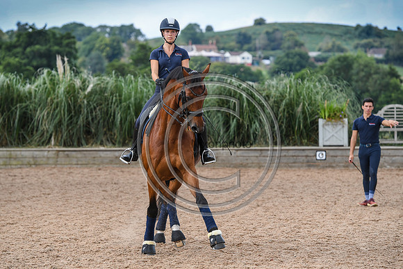 Collective Equestrian