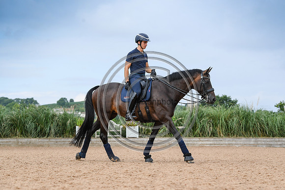 Collective Equestrian