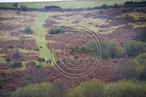 SouthShropshire_Hunting_PN43573
