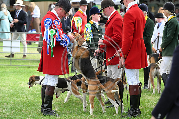 Festival of Hounds 2024