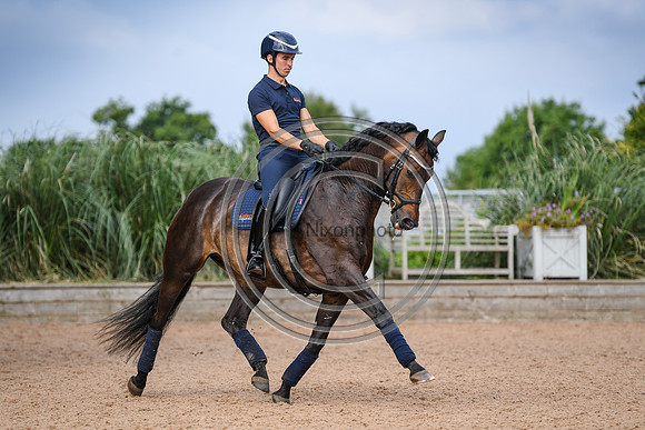 Collective Equestrian