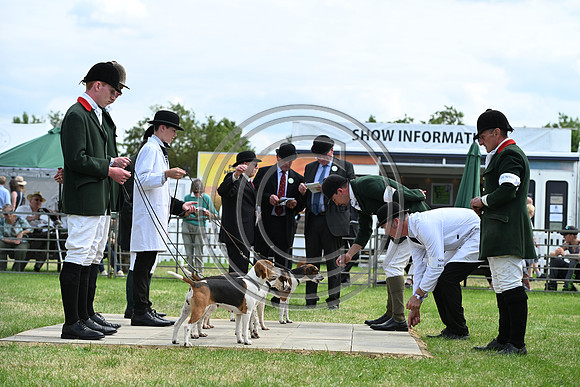 Festival of Hounds 2024