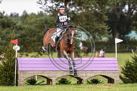 HorseNo910_Burgham_20PN_90752