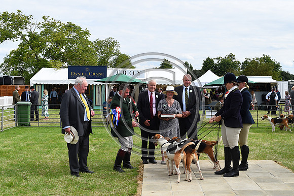 Festival of Hounds 2024