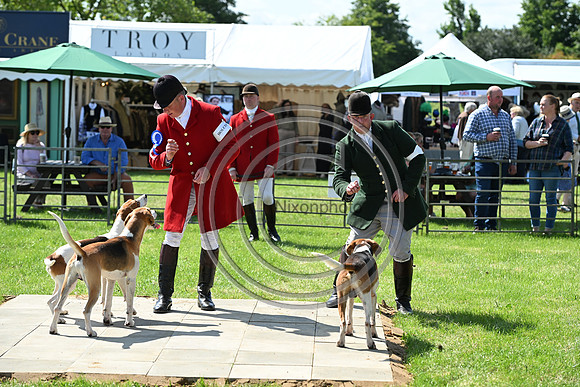Festival of Hounds 2024
