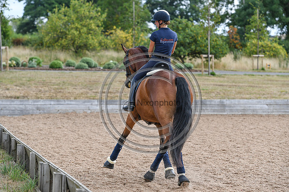 Collective Equestrian