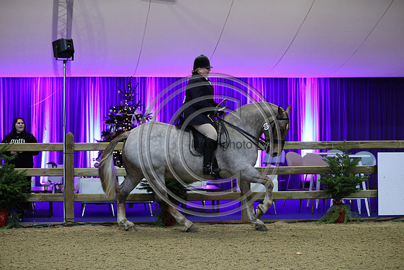 Rising Star_CobChamp_LIHS_PN24_10223