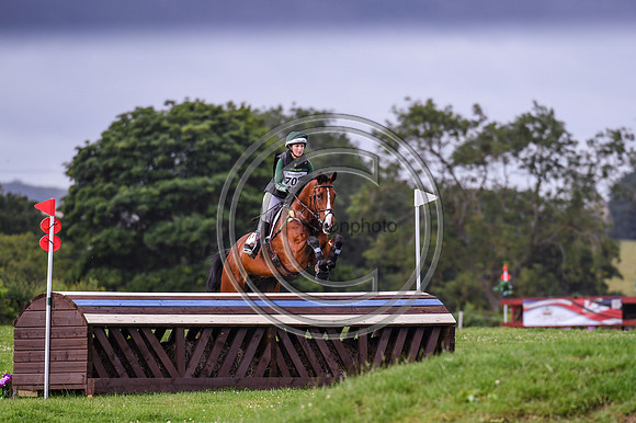HorseNo702_Burgham_20PN_87989