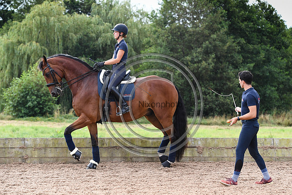 Collective Equestrian