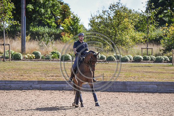 Collective Equestrian