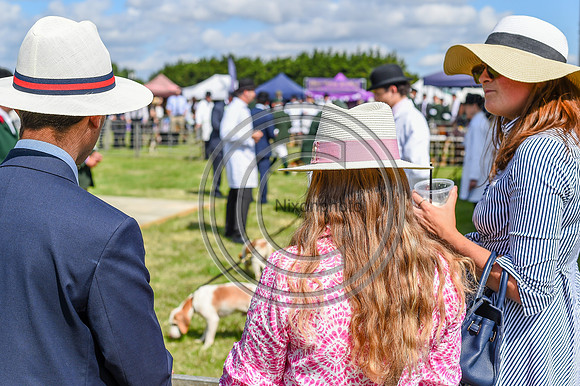 Festival of Hounds 2024