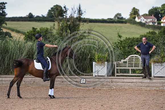 Collective Equestrian