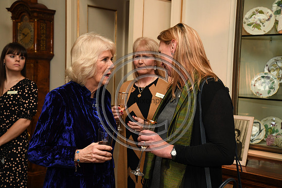 DUCHESS OF CORNWALL_BEF_PN22_10961