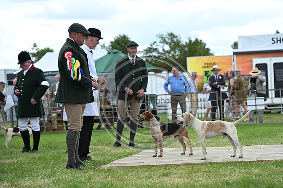 Festival of Hounds 2024