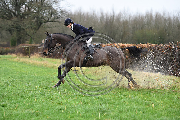 Duke of Beaufort's Hunt  08 01 22