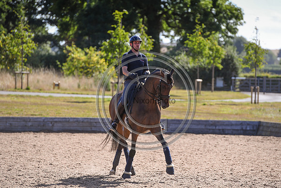 Collective Equestrian