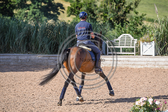 Collective Equestrian