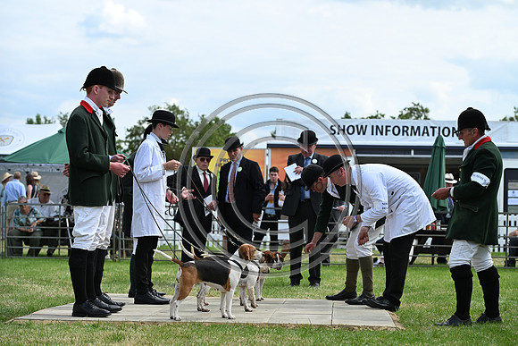 Festival of Hounds 2024