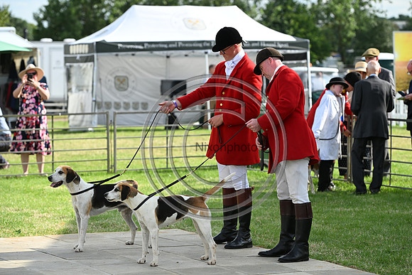 Festival of Hounds 2024